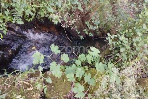 Terra a Ranhados, Viseu, Ranhados - € 40.000 | Ref: ZMPT578234 - foto 13