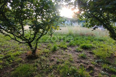 Terra a Ranhados, Viseu, Ranhados - € 40.000 | Ref: ZMPT578234 - foto 6