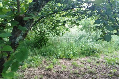 Terra a Ranhados, Viseu, Ranhados - € 40.000 | Ref: ZMPT578234 - foto 10
