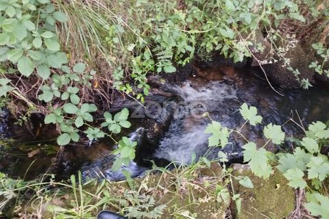 Terra a Ranhados, Viseu, Ranhados - € 40.000 | Ref: ZMPT578234 - foto 11