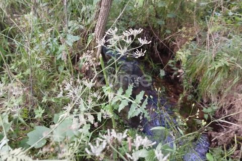 Terra a Ranhados, Viseu, Ranhados - € 40.000 | Ref: ZMPT578234 - foto 14