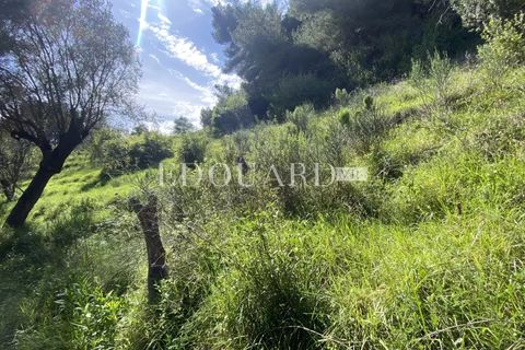 Helårsgrund i Sainte-Agnes, Alpes-Maritimes, Sainte-Agnes - € 61.000 | Ref: 86072986 - foto 7