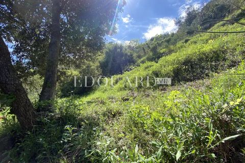 Helårsgrund i Sainte-Agnes, Alpes-Maritimes, Sainte-Agnes - € 61.000 | Ref: 86072986 - foto 8