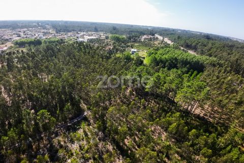 Helårsgrund i Cantanhede, Coimbra, Cantanhede - € 15.900 | Ref: ZMPT570825 - foto 7