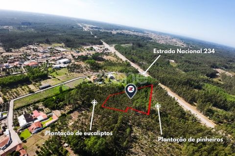 Helårsgrund i Cantanhede, Coimbra, Cantanhede - € 15.900 | Ref: ZMPT570825 - foto 2