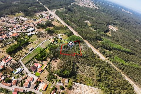 Helårsgrund i Cantanhede, Coimbra, Cantanhede - € 15.900 | Ref: ZMPT570825 - foto 3