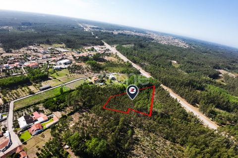 Helårsgrund i Cantanhede, Coimbra, Cantanhede - € 15.900 | Ref: ZMPT570825 - foto 4