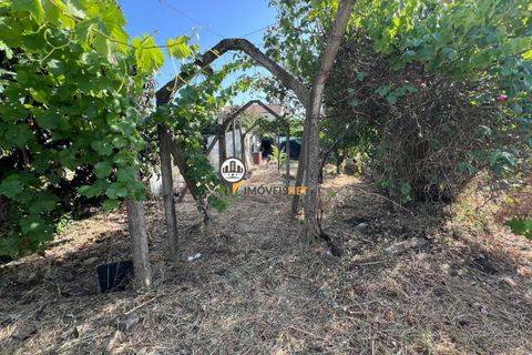 Helårsgrund i Castelo Branco, Castelo Branco, Castelo Branco - € 75.000 | Ref: 2852 - foto 1