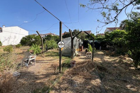 Helårsgrund i Castelo Branco, Castelo Branco, Castelo Branco - € 75.000 | Ref: 2852 - foto 2