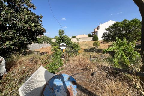 Helårsgrund i Castelo Branco, Castelo Branco, Castelo Branco - € 75.000 | Ref: 2852 - foto 4