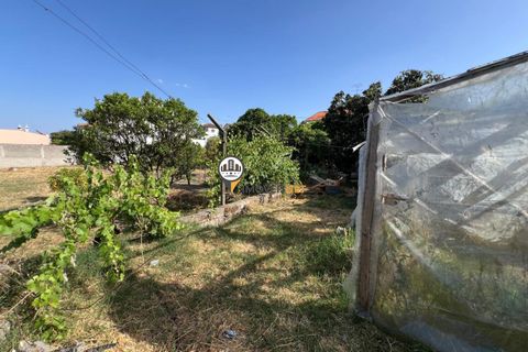 Helårsgrund i Castelo Branco, Castelo Branco, Castelo Branco - € 75.000 | Ref: 2852 - foto 5