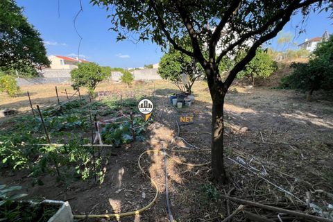 Helårsgrund i Castelo Branco, Castelo Branco, Castelo Branco - € 75.000 | Ref: 2852 - foto 7