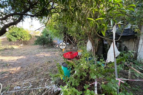 Helårsgrund i Castelo Branco, Castelo Branco, Castelo Branco - € 75.000 | Ref: 2852 - foto 8