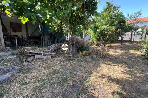 Helårsgrund i Castelo Branco, Castelo Branco, Castelo Branco - € 75.000 | Ref: 2852 - foto 10