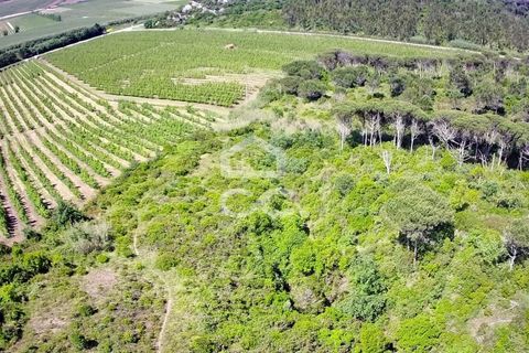 Helårsgrund i Obidos, Leiria, Obidos - € 32.000 | Ref: 321/T/01236 - foto 2