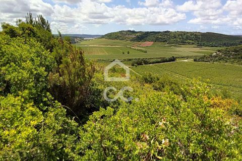 Helårsgrund i Obidos, Leiria, Obidos - € 32.000 | Ref: 321/T/01236 - foto 3
