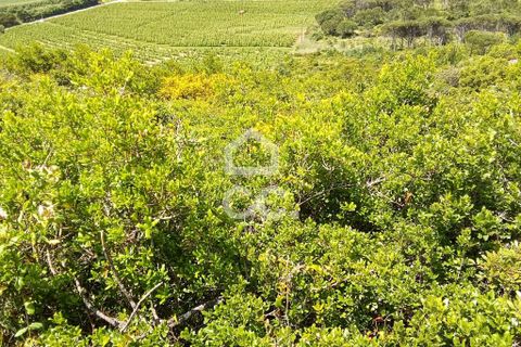 Helårsgrund i Obidos, Leiria, Obidos - € 32.000 | Ref: 321/T/01236 - foto 4