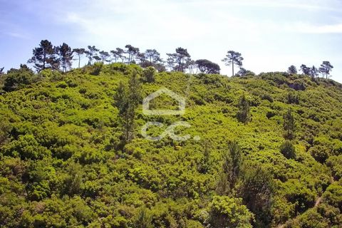 Helårsgrund i Obidos, Leiria, Obidos - € 32.000 | Ref: 321/T/01236 - foto 7