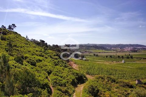 Helårsgrund i Obidos, Leiria, Obidos - € 32.000 | Ref: 321/T/01236 - foto 9