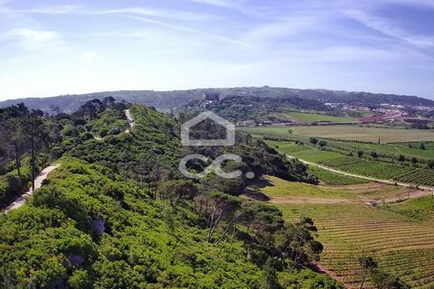 Helårsgrund i Obidos, Leiria, Obidos - € 32.000 | Ref: 321/T/01236 - foto 11