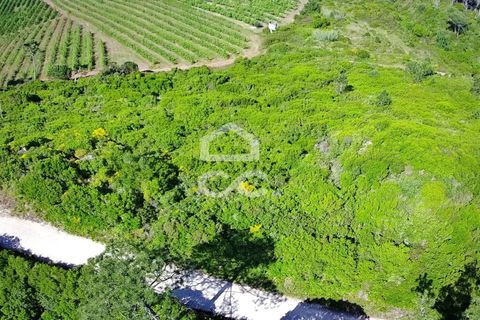 Helårsgrund i Obidos, Leiria, Obidos - € 32.000 | Ref: 321/T/01236 - foto 12