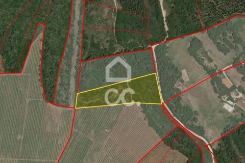 Helårsgrund i Obidos, Leiria, Obidos - € 32.000 | Ref: 321/T/01236 - foto 13