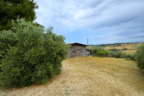 Herregård i Fermo, Fermo, Fermo - € 175 000 | Ref: VV371 - foto 6