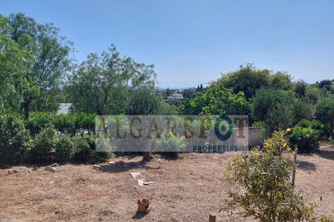 Helårsgrund i Almancil, Faro, Almancil - € 595.000 | Ref: T-Lo-06 - foto 20