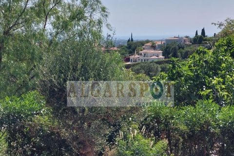 Villa i Almancil, Faro, Almancil - € 595.000 | Ref: HAB-Lo08 - foto 5