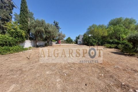 Villa i Almancil, Faro, Almancil - € 595.000 | Ref: HAB-Lo08 - foto 6