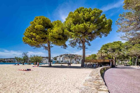 Villa i Santa Ponsa, Mallorca, Santa Ponsa - € 7.950.000 | Ref: 2403777 - foto 17