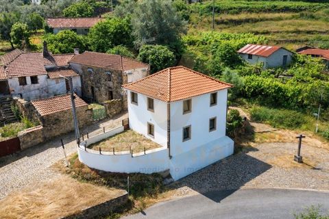 Villa i Viana do Castelo, Viana do Castelo, Viana do Castelo - € 190.000 | Ref: V257 - foto 1