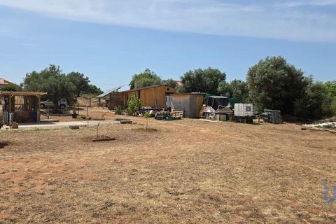 Helårsgrund i Albufeira, Faro, Albufeira - € 143.000 | Ref: 144963 - foto 4