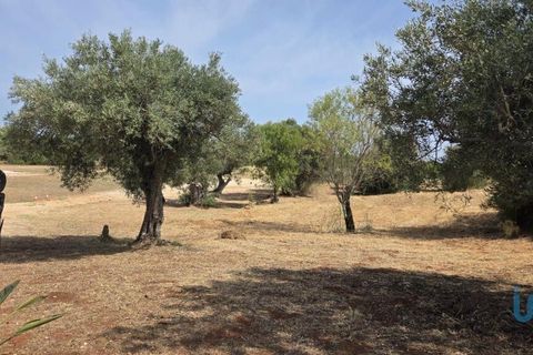 Helårsgrund i Albufeira, Faro, Albufeira - € 143.000 | Ref: 144963 - foto 7