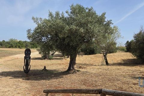 Helårsgrund i Albufeira, Faro, Albufeira - € 143.000 | Ref: 144963 - foto 10