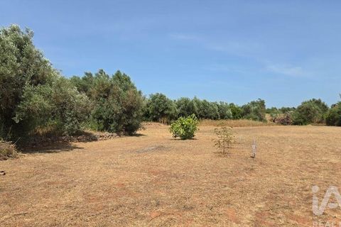 Helårsgrund i Albufeira, Faro, Albufeira - € 143.000 | Ref: 144963 - foto 20