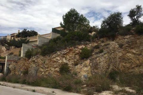 Terra a Jalon, Alicante, Jalon - € 70.000 | Ref: P179 - foto 4