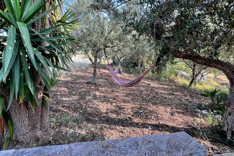 Villa i Custonaci, Trapani, Custonaci - € 160.000 | Ref: Casa Concetta - Custonaci - foto 24