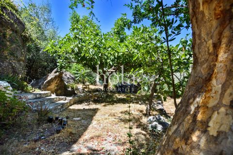 Finca i Lanjaron, Granada, Lanjaron - € 50.000 | Ref: LLW-Finca Peru - foto 8