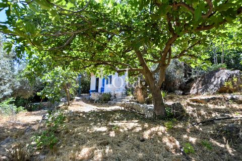 Finca i Lanjaron, Granada, Lanjaron - € 50.000 | Ref: LLW-Finca Peru - foto 9