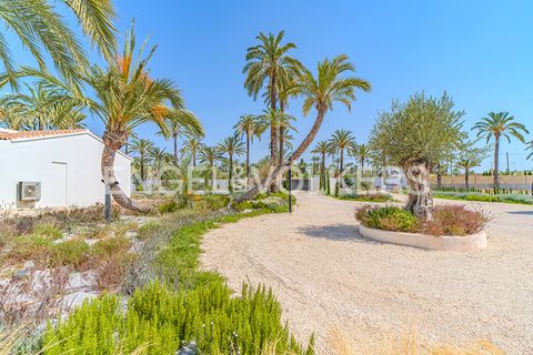 Landsbyhus i Elche, Alicante, Elche - € 1.550.000 | Ref: W-030M2L - foto 39