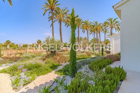 Landsbyhus i Elche, Alicante, Elche - € 1.550.000 | Ref: W-030M2L - foto 41