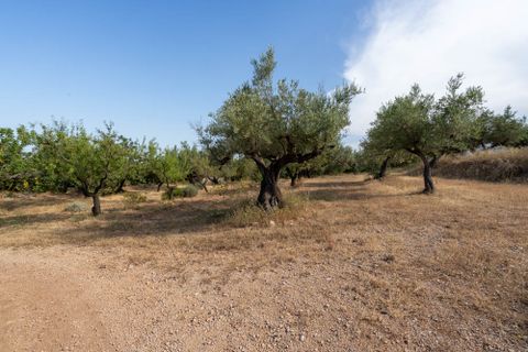 Farm hus i Aldover, Tarragona, Aldover - € 399.000 | Ref: 236 - foto 25