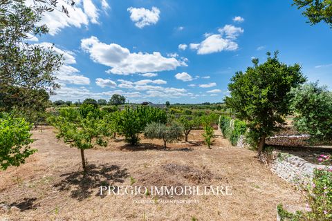 Landejendom i Alberobello, Bari, Alberobello - € 480.000 | Ref: 9113RA88014 - foto 49