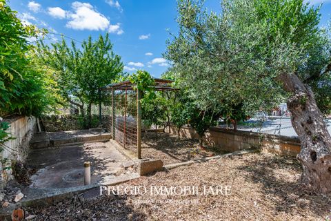 Landejendom i Alberobello, Bari, Alberobello - € 480.000 | Ref: 9113RA88014 - foto 50