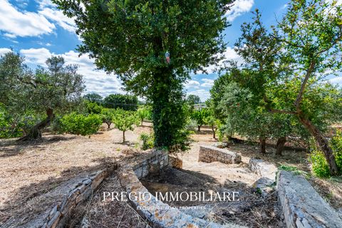Landejendom i Alberobello, Bari, Alberobello - € 480.000 | Ref: 9113RA88014 - foto 48