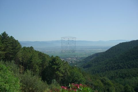 Villa a Buti, Pisa, Buti - € 790.000 | Ref: IA00960 - foto 6