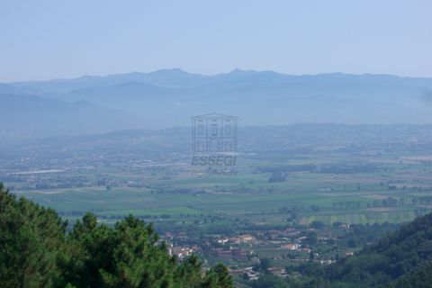 Villa a Buti, Pisa, Buti - € 790.000 | Ref: IA00960 - foto 7