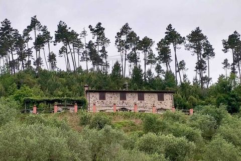 Villa a Buti, Pisa, Buti - € 790.000 | Ref: IA00960 - foto 20