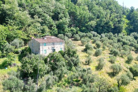 Villa i Lucca, Lucca, Lucca - € 450.000 | Ref: IA03872 - foto 3